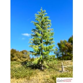 H0 Larch, spring, 3/3, 4-5 cm