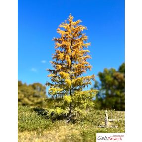 H0 Larch, early autumn, 3/3, 4-5 cm
