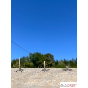 Fichte, Holzstümpfe, set-2