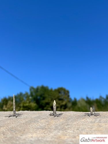 Spruce, wooden stumps, set-2