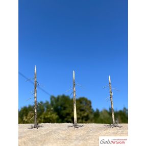 Fichte, tote Bäume, set-1