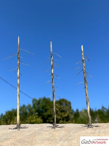 Spruce, dead trees, set-2