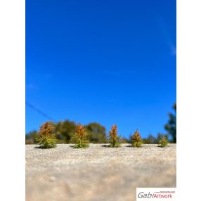 H0 Larch, early autumn, seedlings, set-1