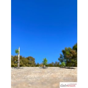 H0 Larch, spring, tree seedlings, set-2