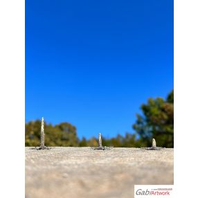 H0 Larch, wooden stumps, set-2