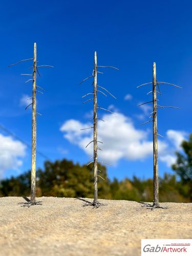 Larch, dead trees, set-2