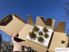 Bushes, medium green, set-1