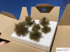 Bushes, medium green, set-1