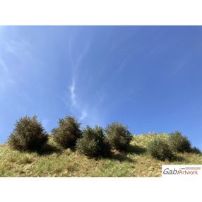 Bushes, dark green, set-1