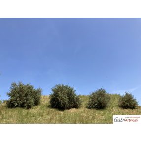 Bushes, dark green, set-2