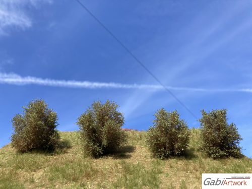 Spring-summer bushes set, type-3