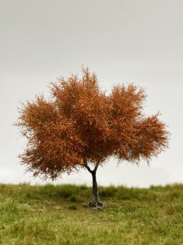 Laubbaum, rot, type-1