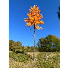 H0 1/3 late autumn larches