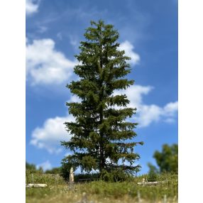 H0 3/3 spruces