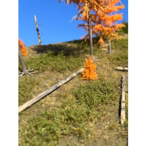 H0 Lärchen, Zubehör