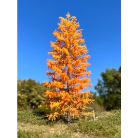 H0 3/3 late autumn larches