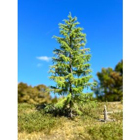 H0 3/3 spring larches