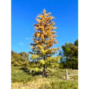 H0 3/3 early autumn larches