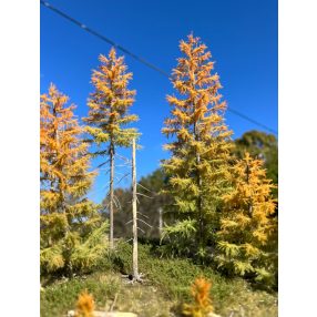 H0 Frühherbst Lärchen